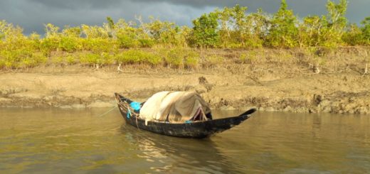Boat - Sundarban, India