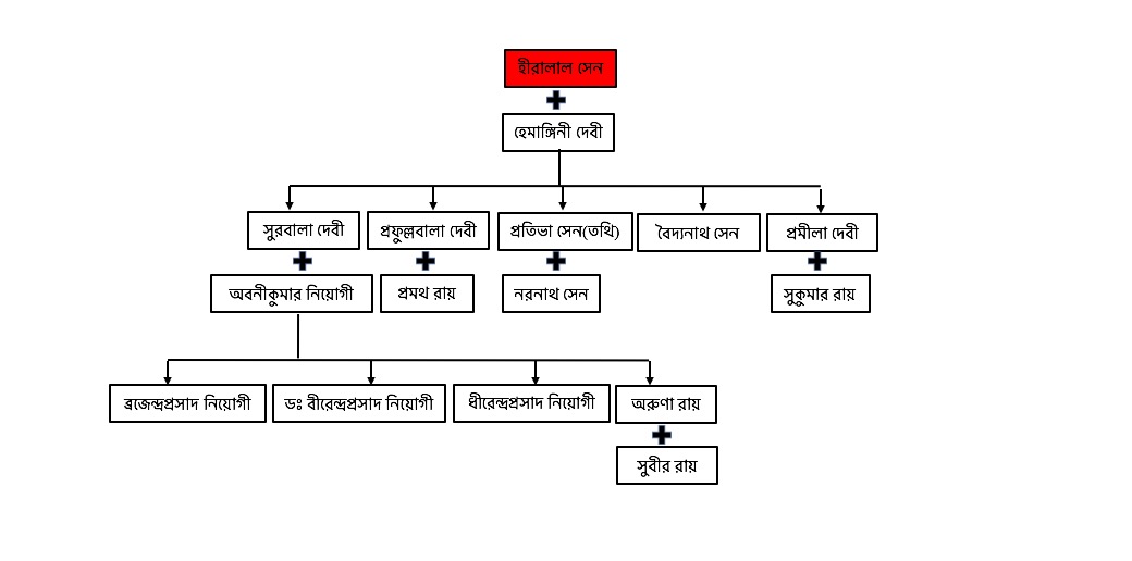 Hiralal Sen's Family Tree 2