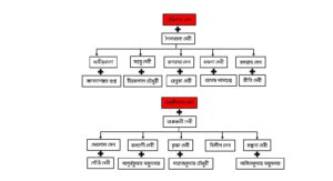 Hiralal Sen's Family Tree 3